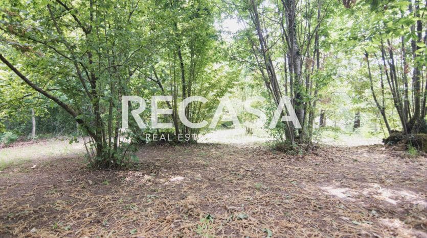 Vendita terreno agricolo San Potito Ultra - Foto 10