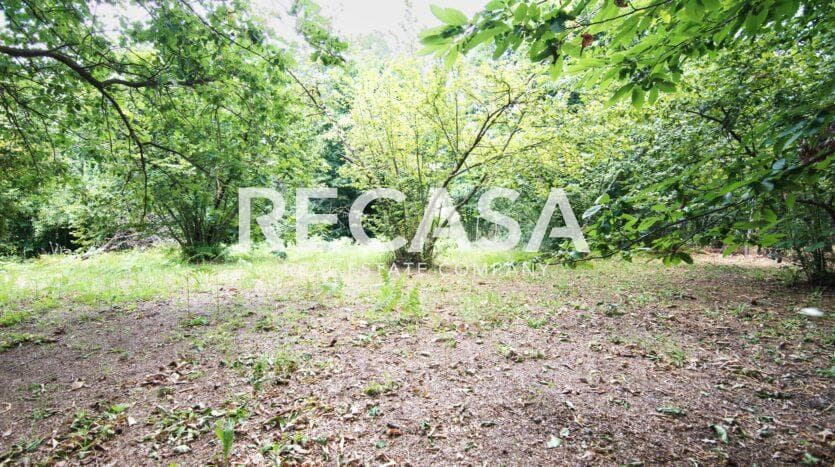 Vendita terreno agricolo San Potito Ultra - Foto 11