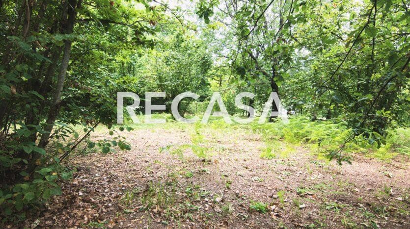 Vendita terreno agricolo San Potito Ultra - Foto 12