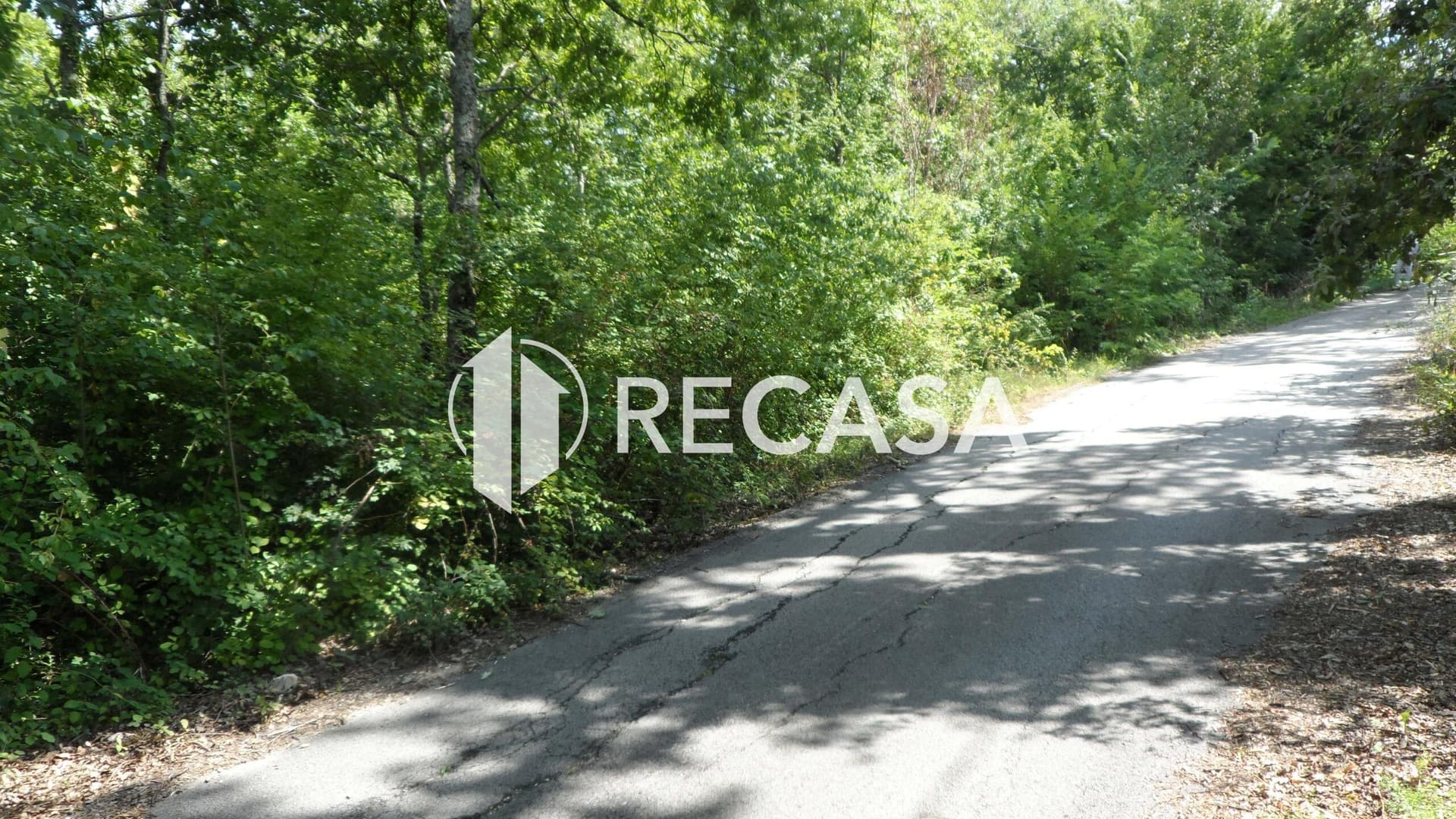 Vendita Terreno agricolo Candida - Foto 6