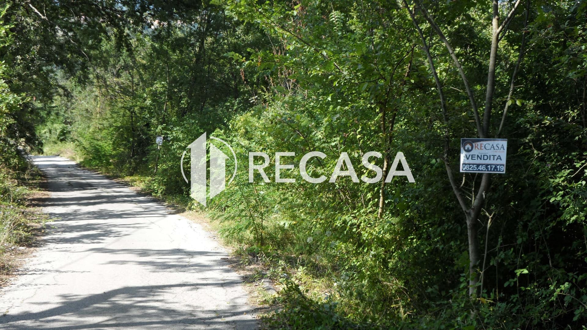 Vendita Terreno agricolo Candida - Foto 7