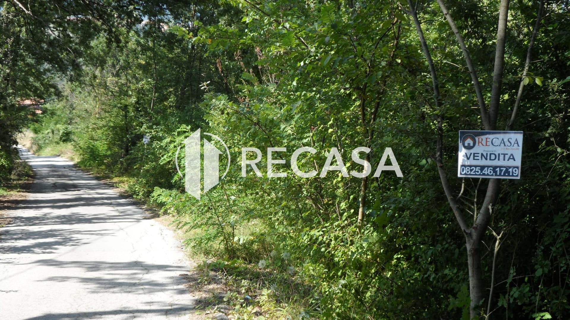 Vendita Terreno agricolo Candida - Foto 8