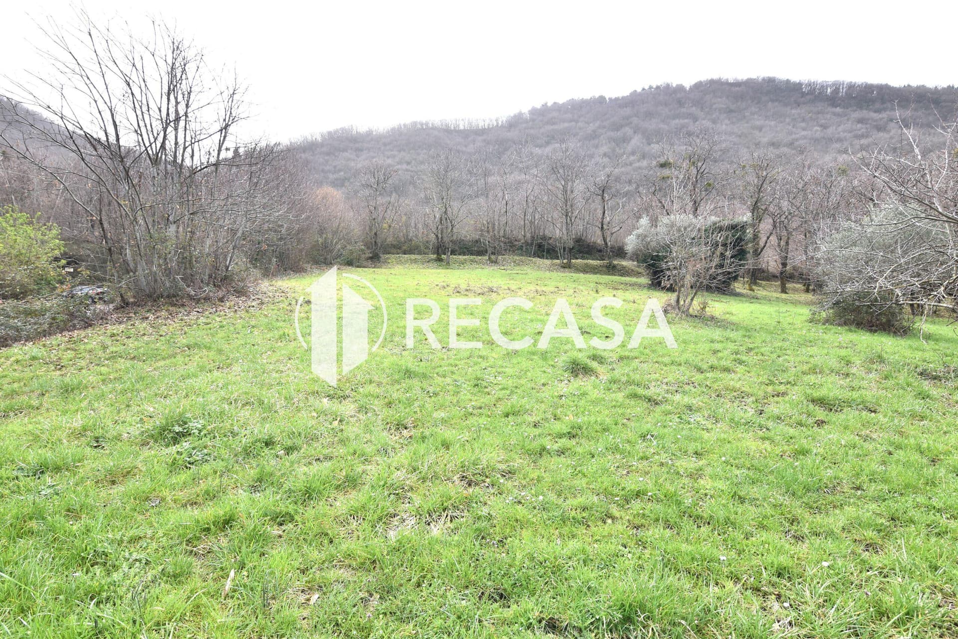 Vendita terreno pianeggiante Sorbo Serpico (Av) - Foto 7