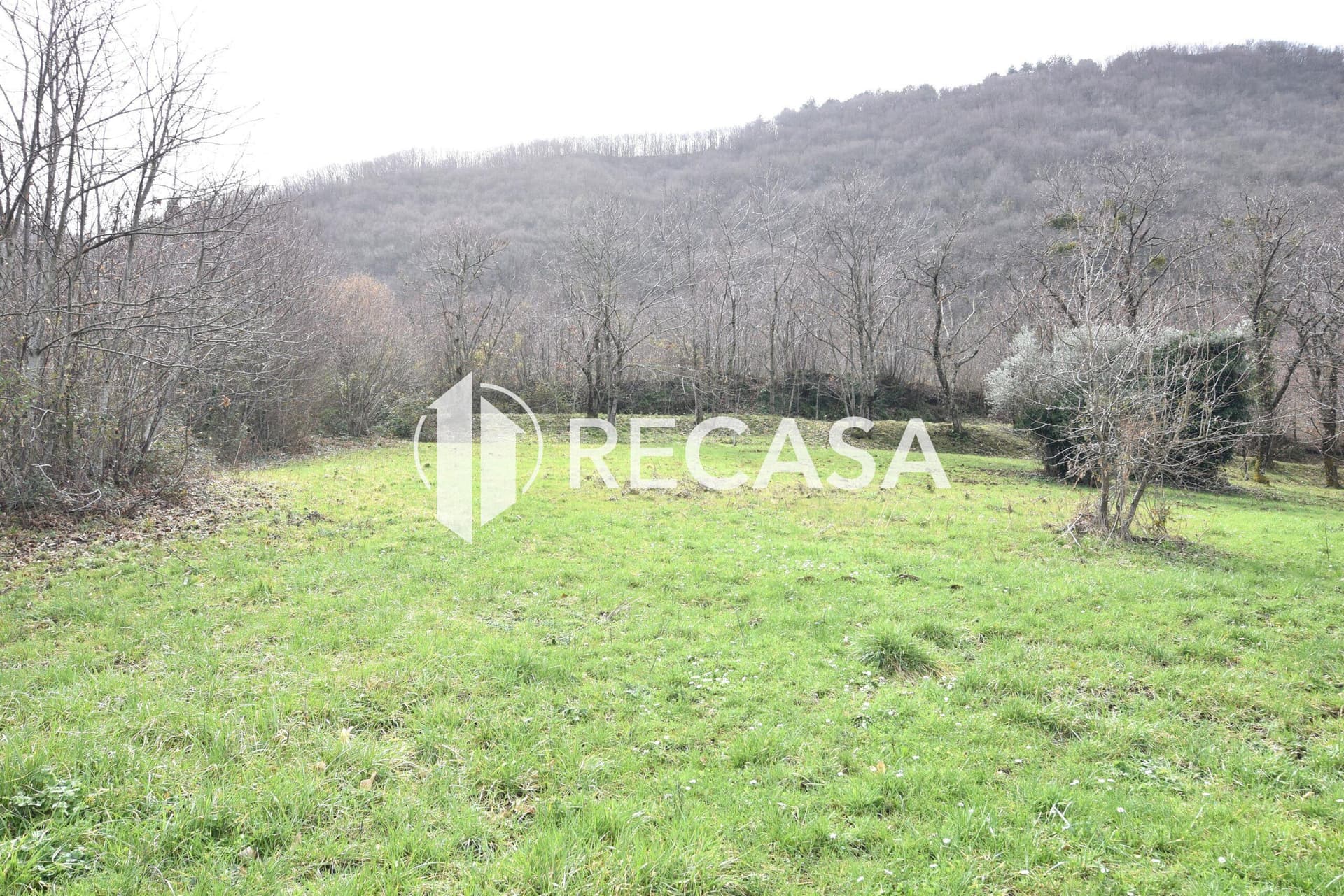 Vendita terreno pianeggiante Sorbo Serpico (Av) - Foto 8