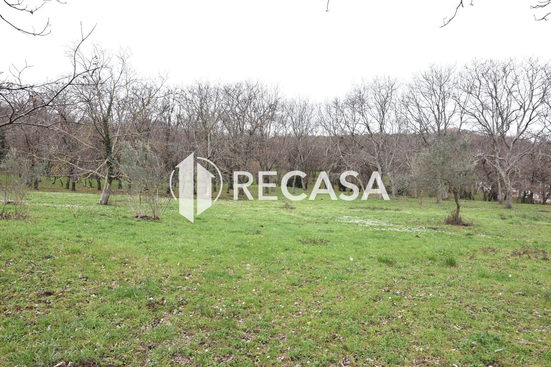 Vendita terreno pianeggiante Sorbo Serpico (Av) - Foto 11