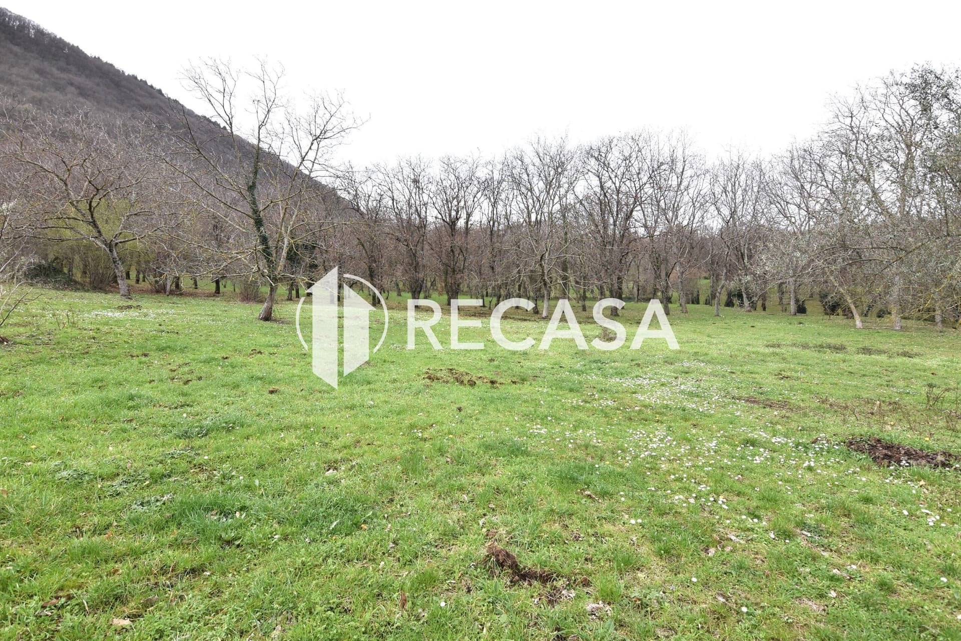 Vendita terreno pianeggiante Sorbo Serpico (Av) - Foto 13