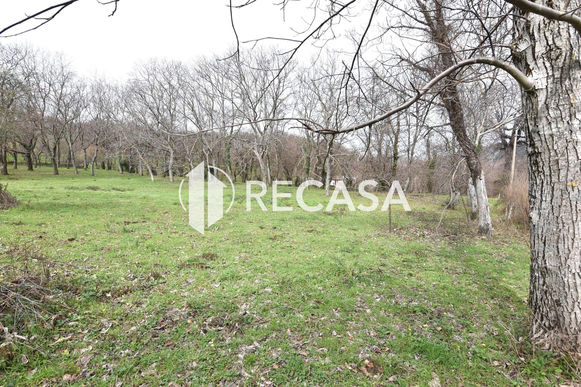 Vendita terreno pianeggiante Sorbo Serpico (Av) - Foto 15