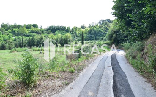 Vendita terreno agricolo